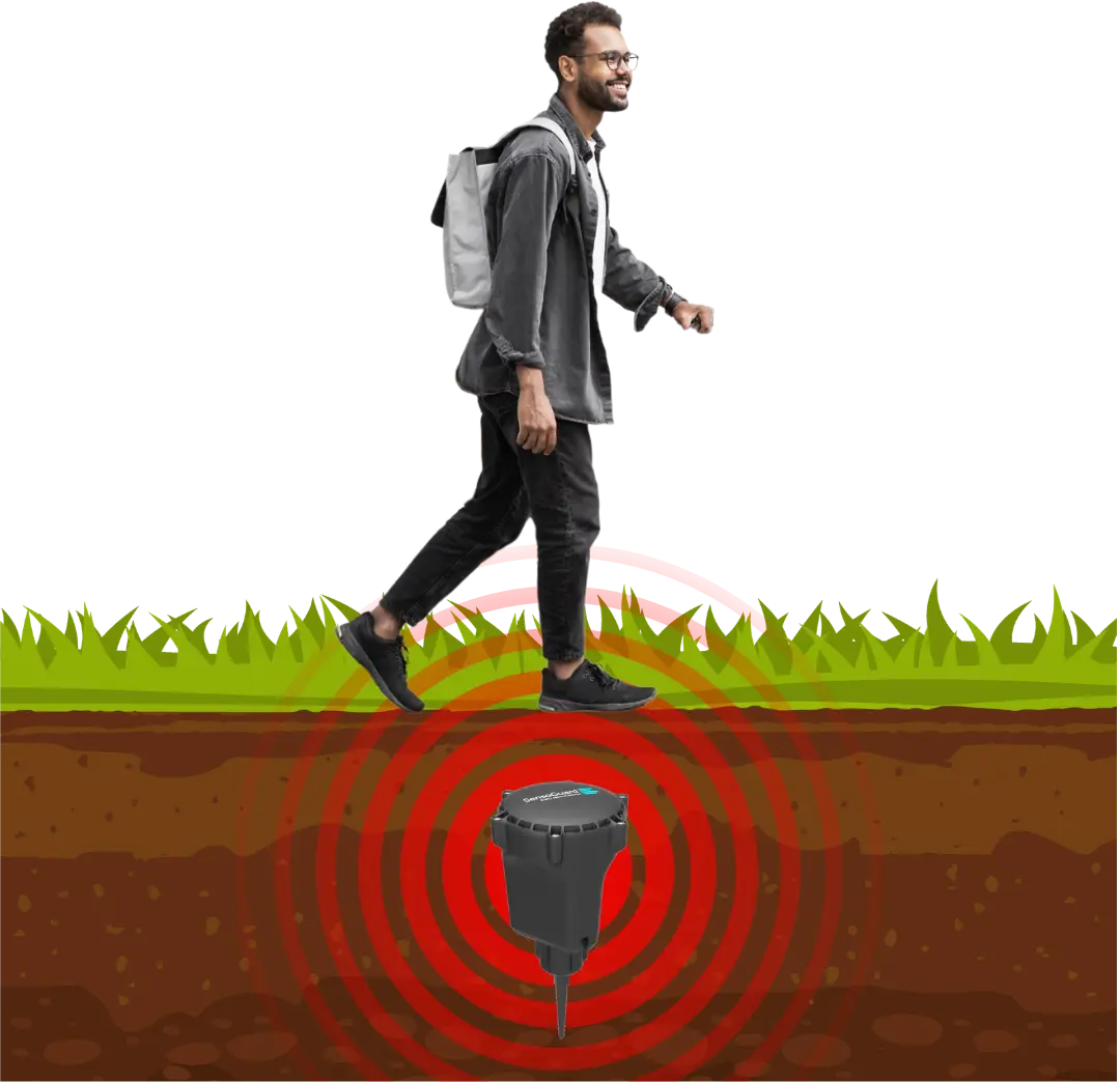 Wireless sensor detecting movement at a remote site